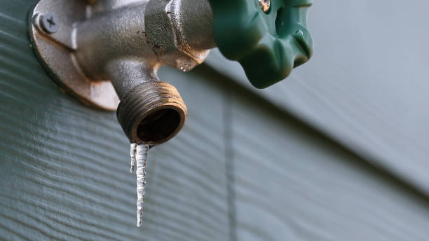 Best Water Softener Installation  in Nicholls, GA